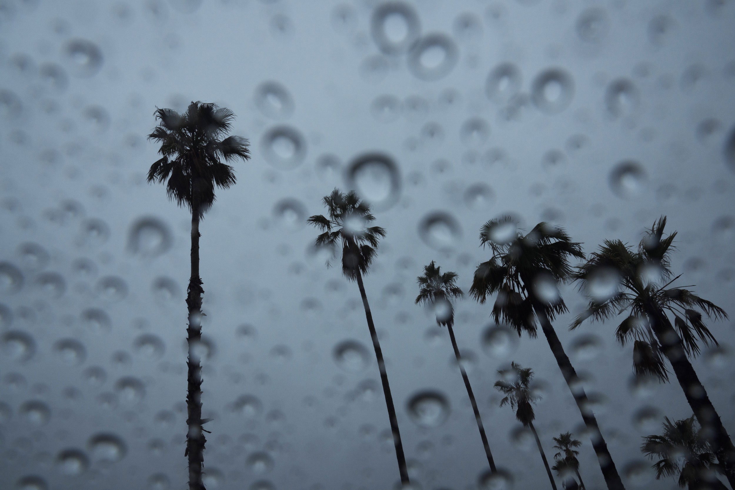 california’s-problem-now-isn’t-fire—it’s-rain