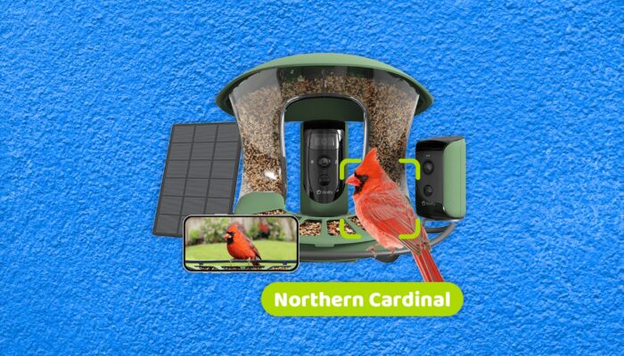 the-best-smart-bird-feeders-for-backyard-birding