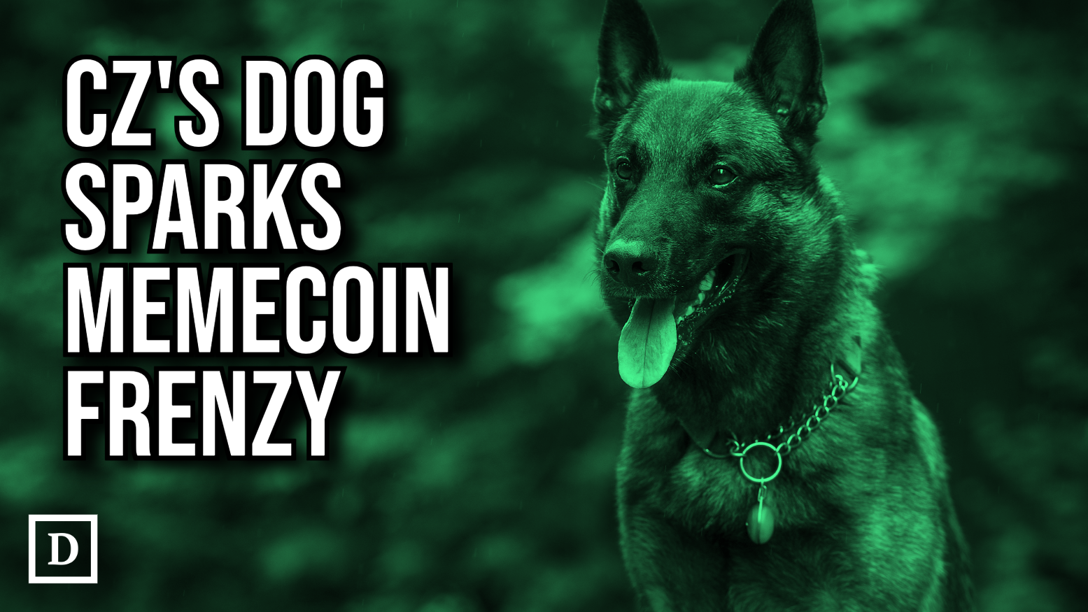 binance-founder-cz-‘doxxes’-his-dog-and-sparks-memecoin-frenzy-–-“the-defiant”