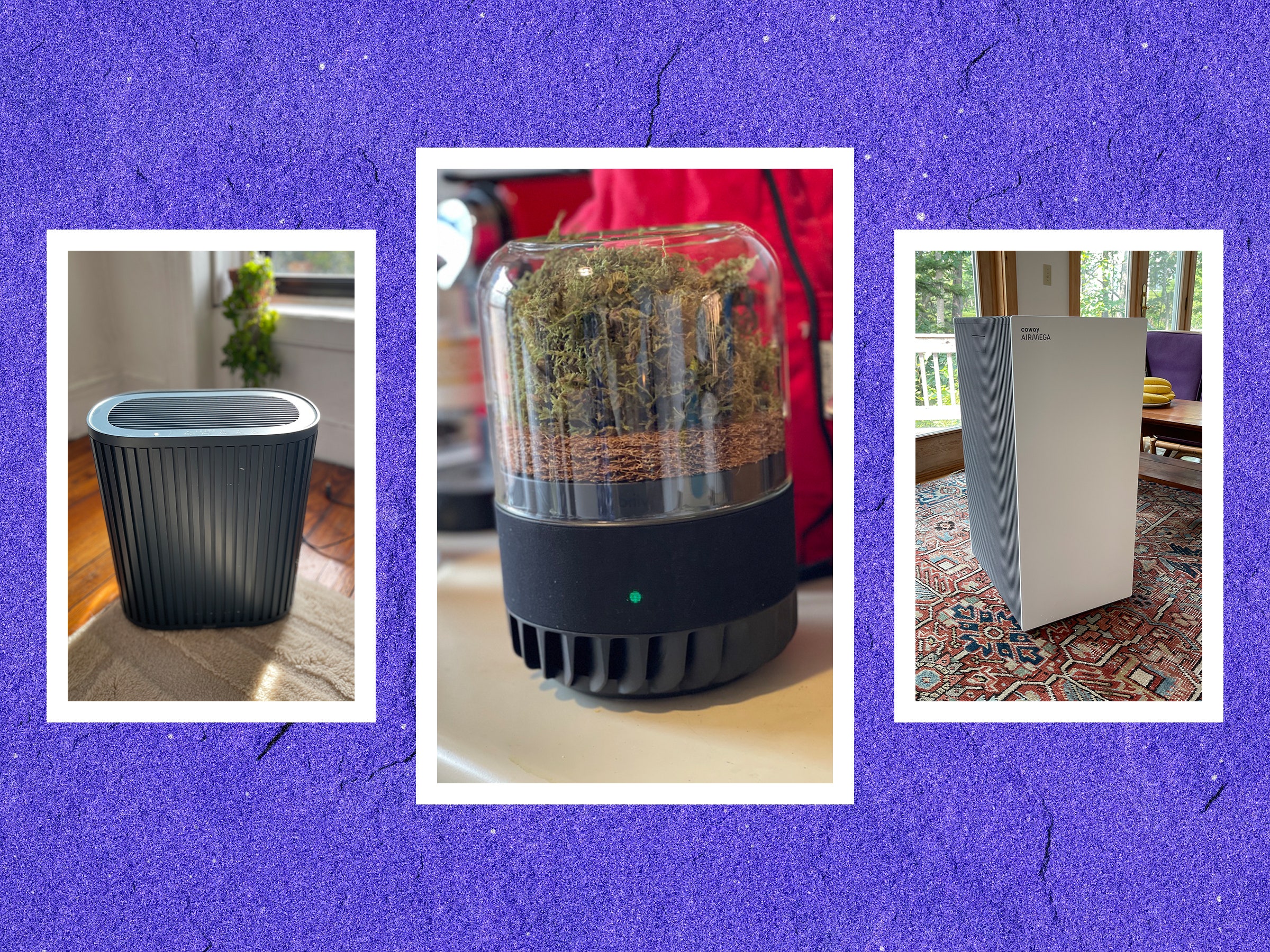 breathe-easy—we-found-the-best-air-purifiers