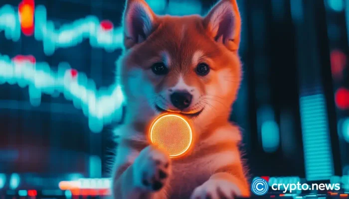 could-this-low-cap-crypto-follow-the-path-of-doge-in-the-coming-year?