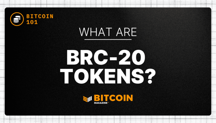 what-are-brc-20-tokens?