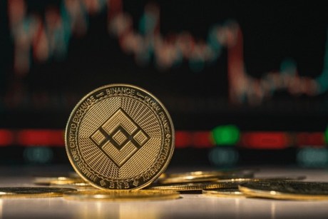 binance-coin-critical-test:-will-bnb-hold-or-plunge-to-$214?