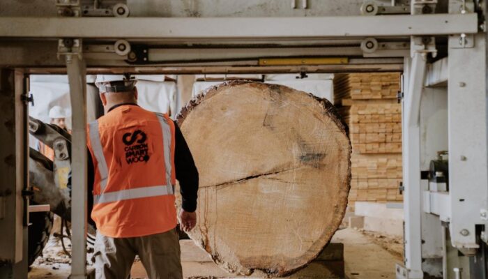 cambium-is-building-an-ai-that-helps-turn-waste-wood-into-usable-lumber