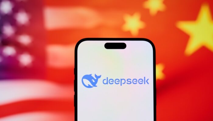 deepseek-reopens-access-to-its-api-after-three-week-pause