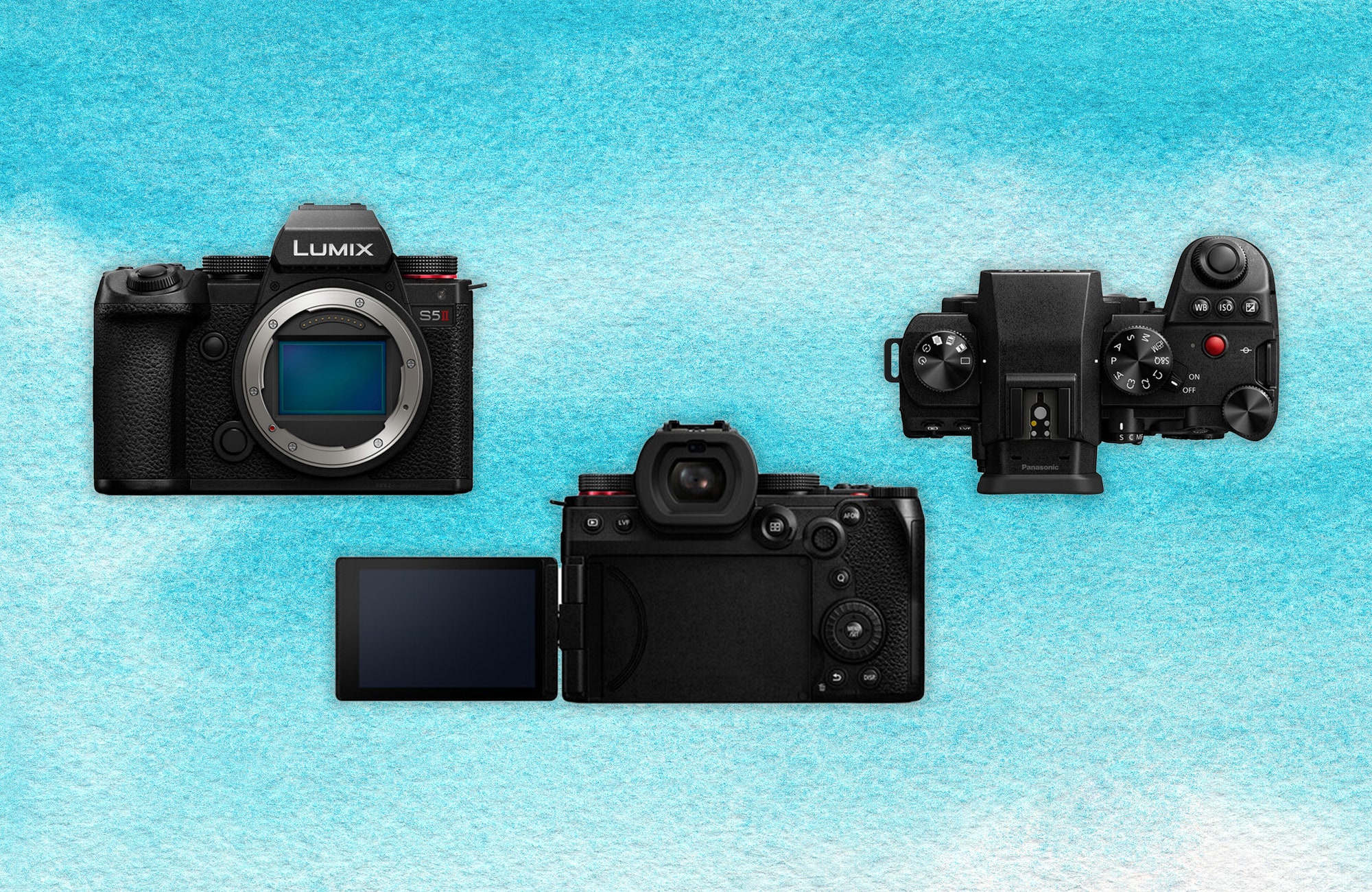 the-best-mirrorless-cameras-to-level-up-your-photos