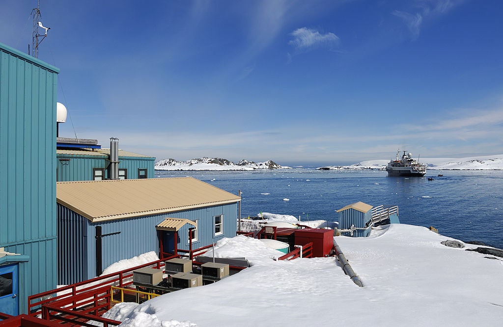 doge’s-chaos-reaches-antarctica