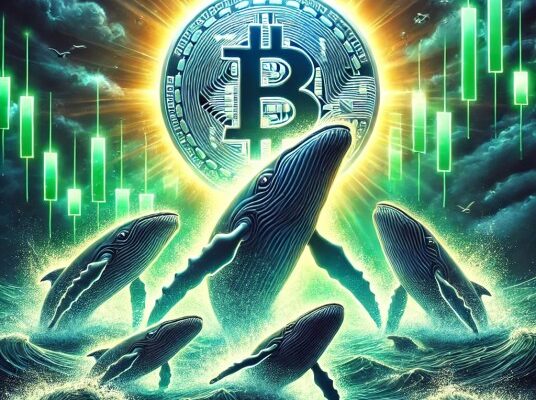 bitcoin-whales-are-back—could-this-be-the-catalyst-for-the-next-rally?