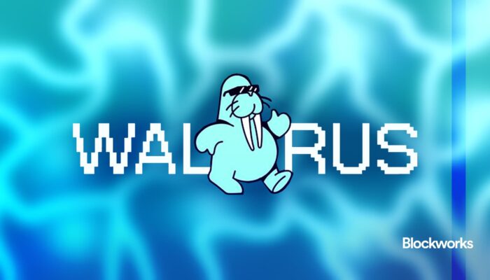 mysten-labs’-walrus-could-reshape-decentralized-gaming-and-apps