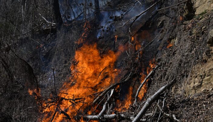 the-extreme-weather-conditions-that-drove-the-carolina-wildfires