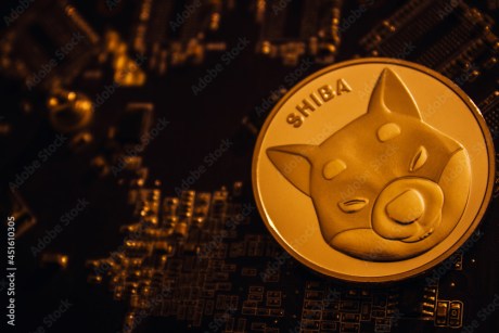 will-shiba-inu-reclaim-$0.000012?-shib-eyes-retest-after-key-support-breakdown