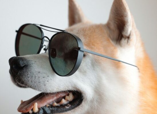 from-joke-to-juggernaut:-dogecoin-value-revolution-gets-nod-from-global-asset-giant