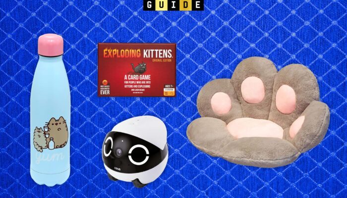 26-best-gifts-for-cat-lovers