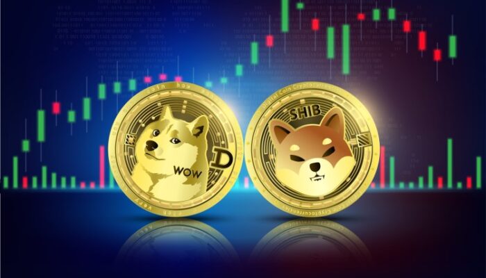 why-did-the-dogecoin-and-shiba-inu-prices-surge-over-10%?