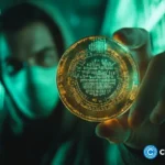 southeast-asia’s-criminal-syndicates-launch-custom-infra,-stablecoins-for-global-fraud,-un-warns