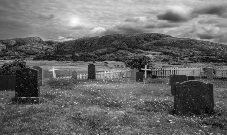 crypto-graveyard:-50%-of-tokens-have-failed-in-the-past-5-years-–-report