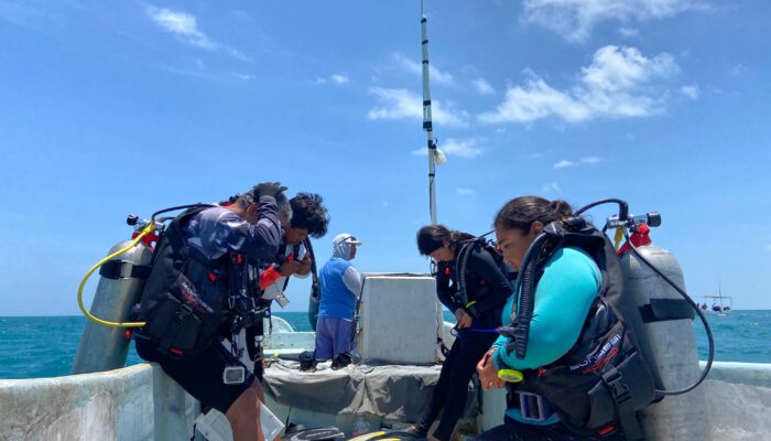 how-mexico’s-fishing-refuges-are-fighting-back-against-poaching