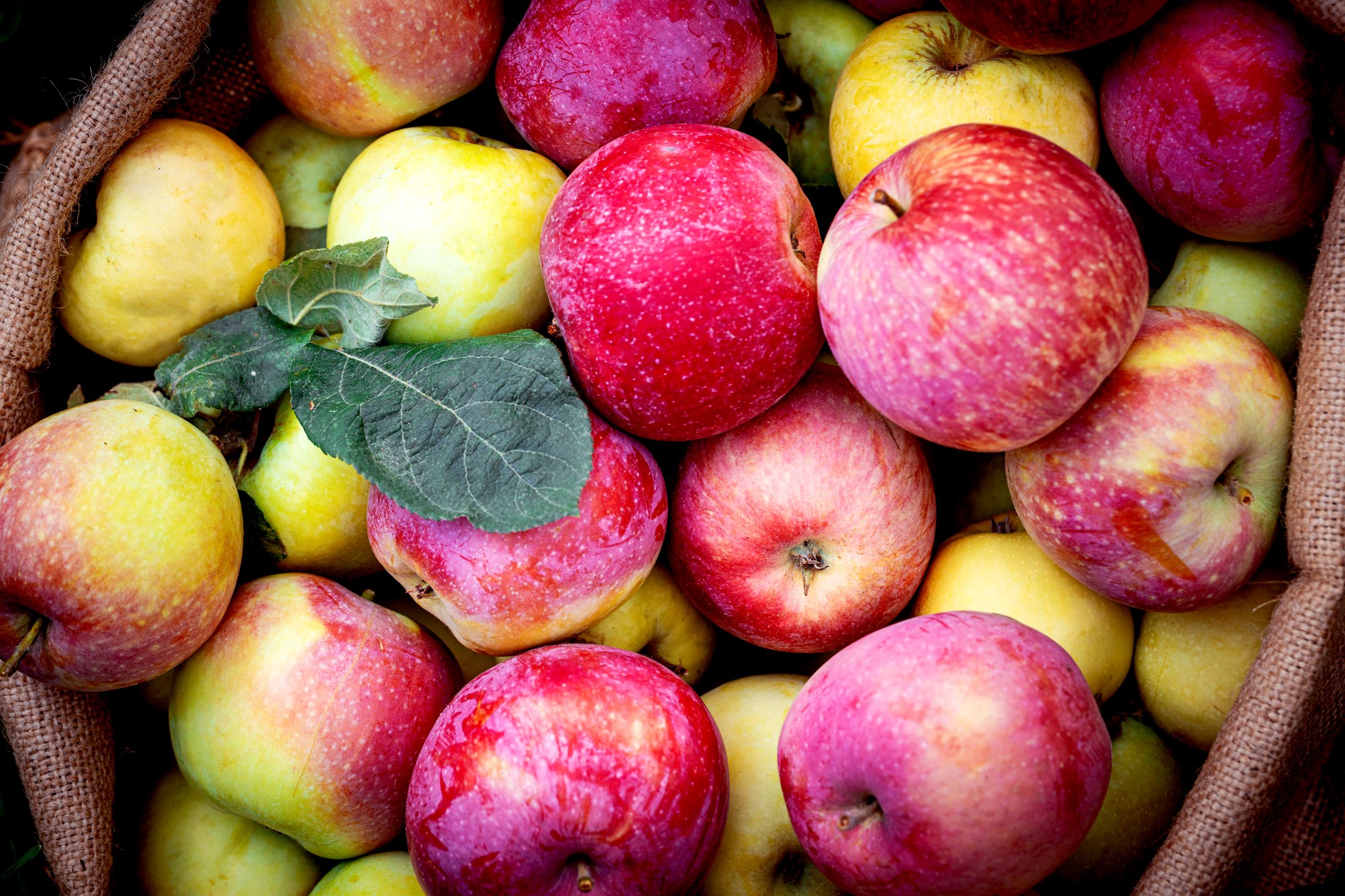trump’s-tariffs-are-threatening-america’s-apple-juice-supply-chain