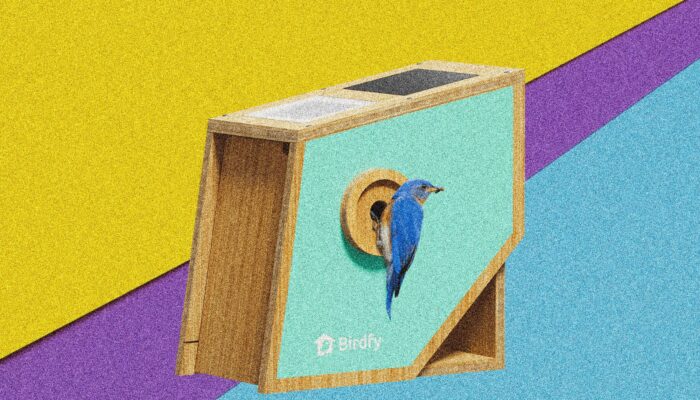 birdfy’s-polygon-smart-birdhouse-wants-to-make-your-backyard-visitors-famous