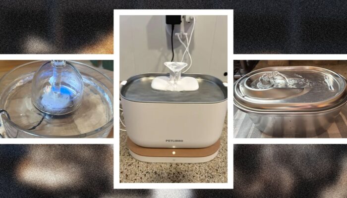 the-best-cat-water-fountains-for-pampered-pets