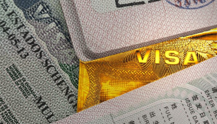 a-‘trump-card-visa’-is-already-showing-up-in-immigration-forms