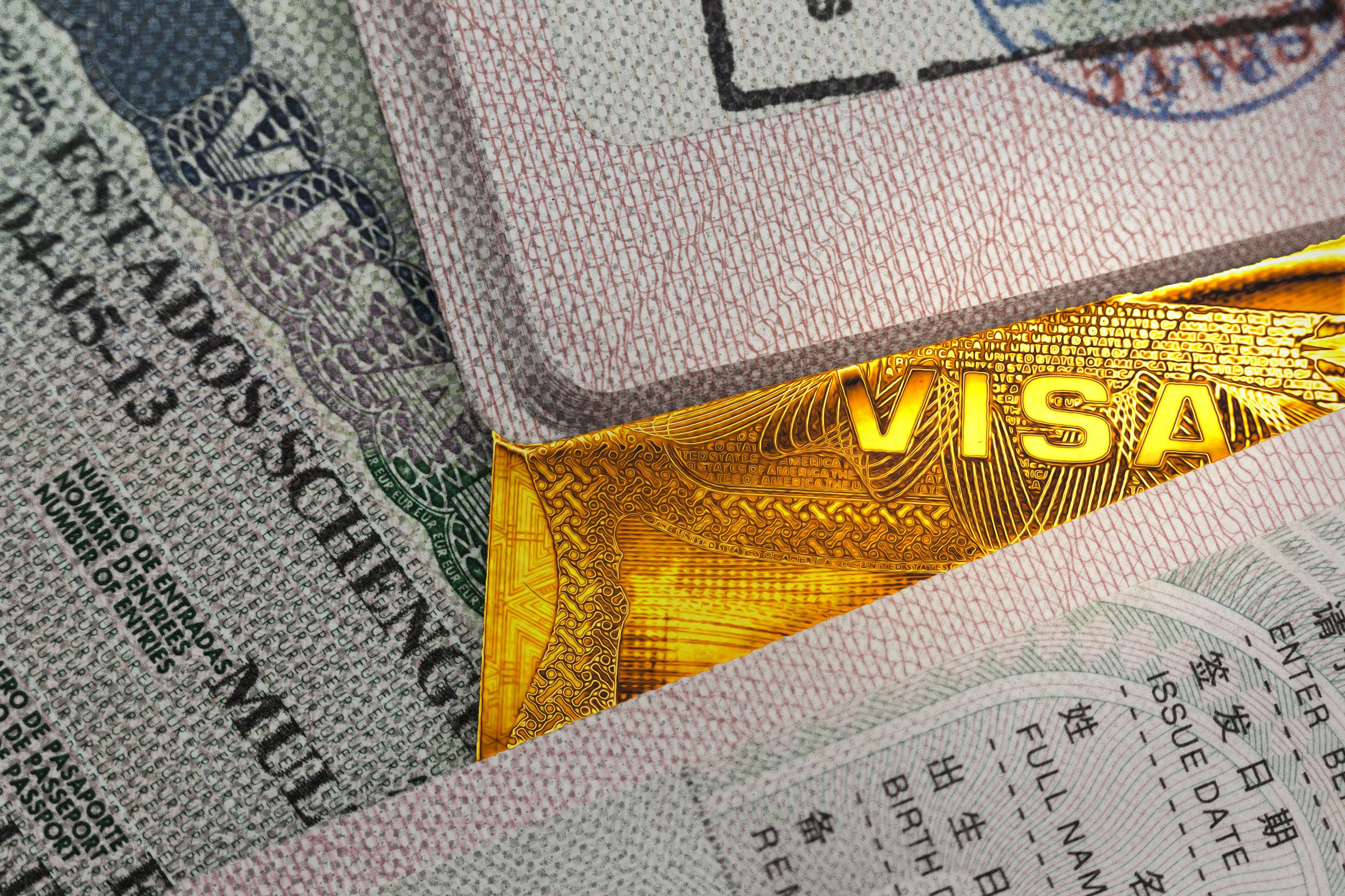 a-‘trump-card-visa’-is-already-showing-up-in-immigration-forms