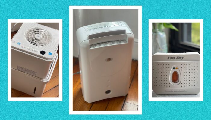 the-best-dehumidifiers-for-keeping-cool-and-dry