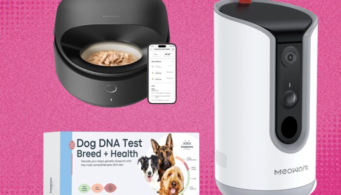 the-21-best-early-amazon-pet-day-deals