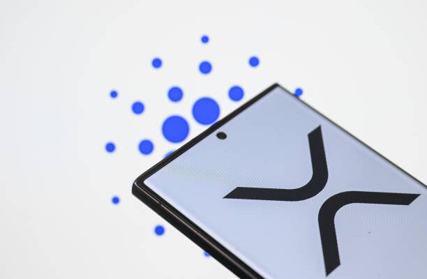 xrp-analyst-marks-xdc-for-3,350%-take-off-as-bullish-metrics-emerge