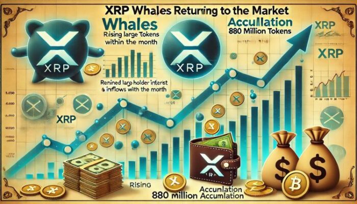 xrp-whales-are-back-–-880-million-tokens-accumulated-this-month