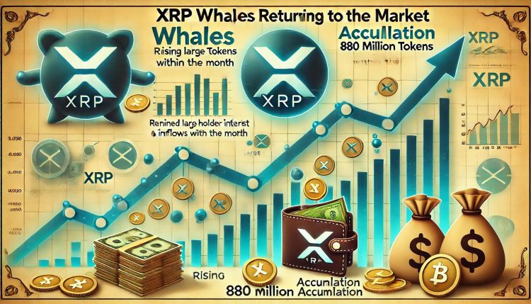 xrp-whales-are-back-–-880-million-tokens-accumulated-this-month