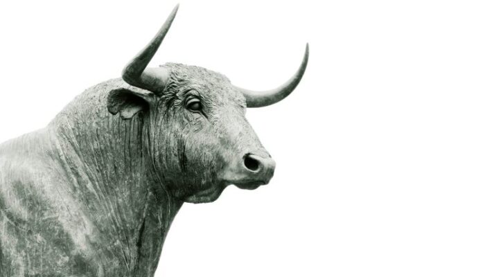 new-xrp-rally-incoming?-analyst-believes-this-cycle-is-unique