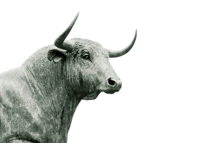new-xrp-rally-incoming?-analyst-believes-this-cycle-is-unique