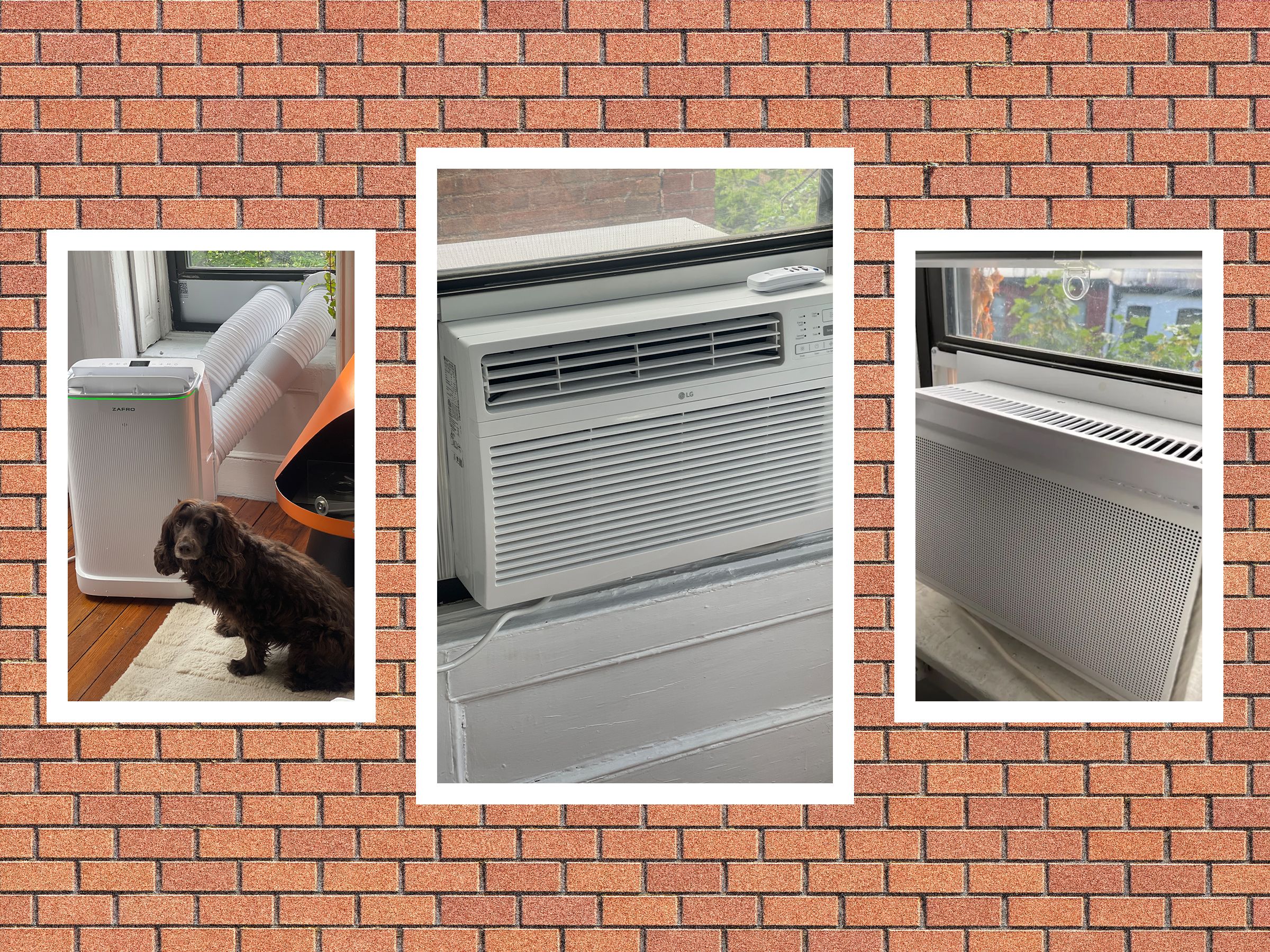 quell-the-heat-with-our-favorite-window-air-conditioners