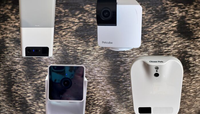 the-best-pet-cameras-for-dogs-and-cats