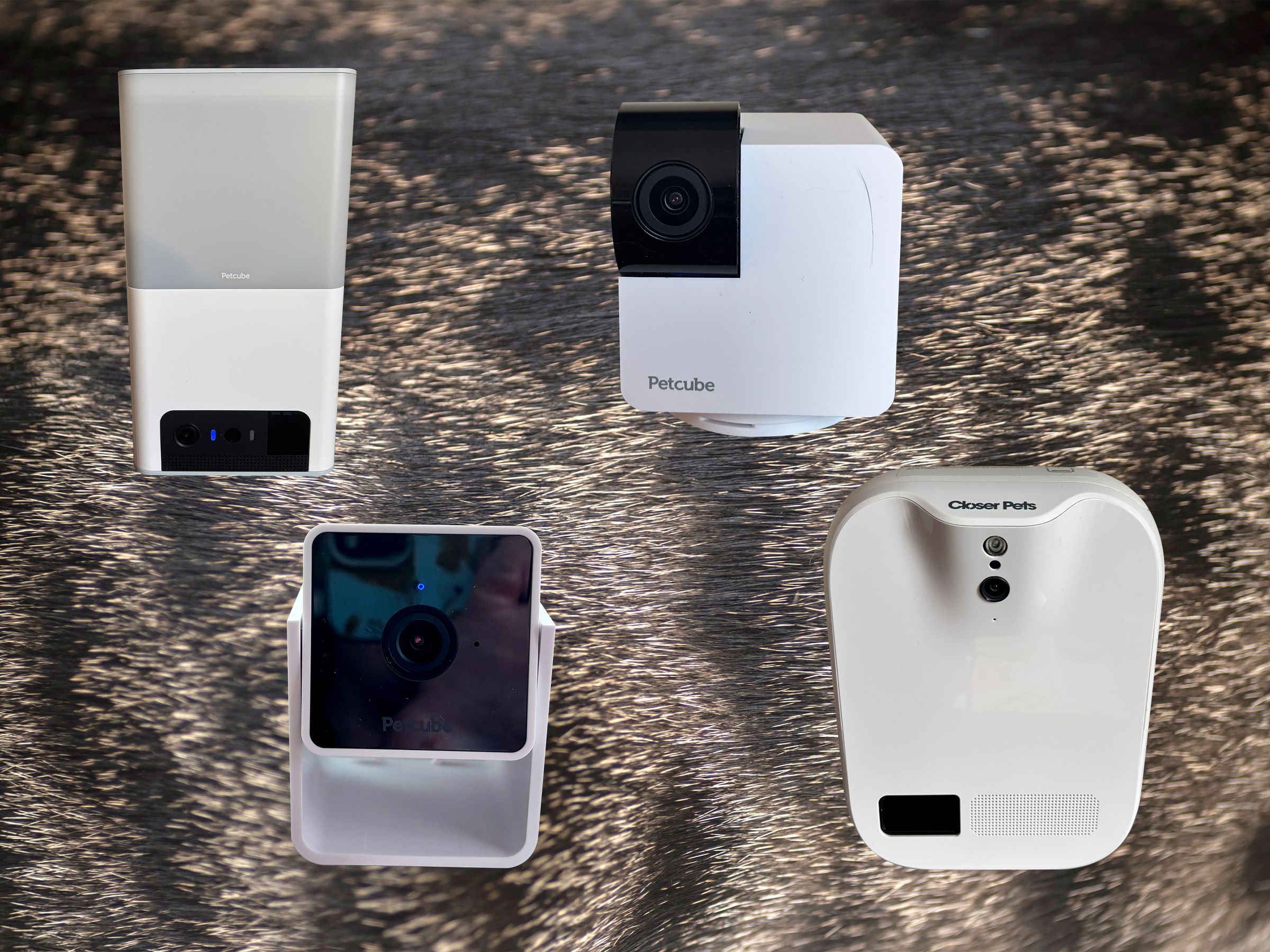 the-best-pet-cameras-for-dogs-and-cats