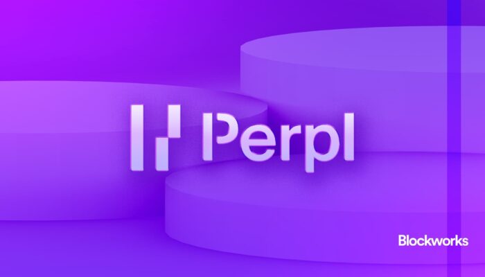 exclusive:-perpl-raises-$9.25m-from-dragonfly-to-build-on-monad