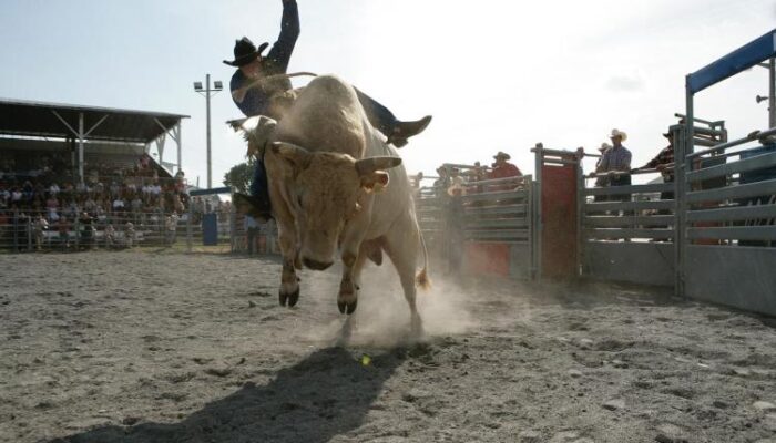 is-bitcoin-bull-run-back?-daily-rsi-shows-only-mild-bullish-momentum
