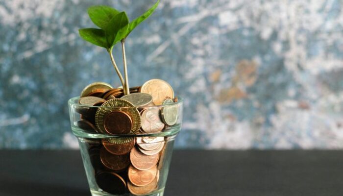 only-5%-will-make-it-–-xrp-expert-reveals-path-to-riches