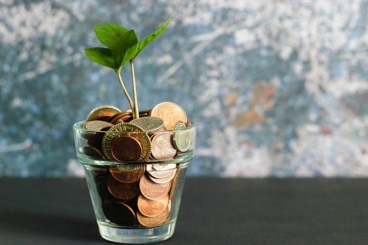 only-5%-will-make-it-–-xrp-expert-reveals-path-to-riches