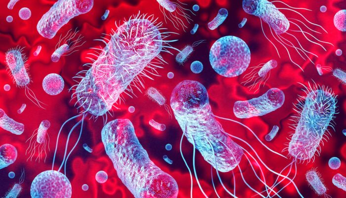 new-bacteria-have-been-discovered-on-a-chinese-space-station