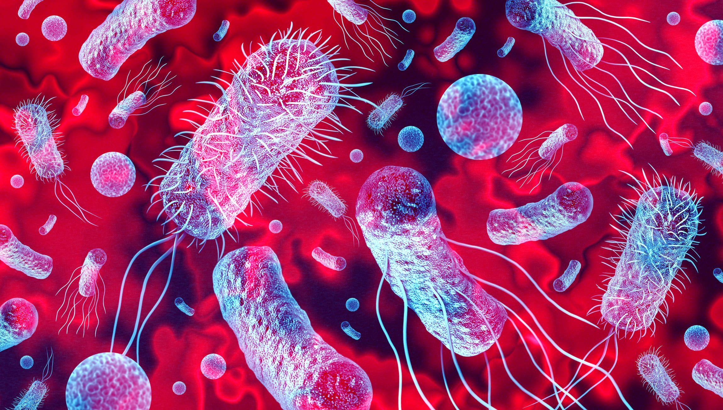 new-bacteria-have-been-discovered-on-a-chinese-space-station