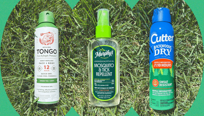 the-best-bug-sprays-to-keep-bites-at-bay