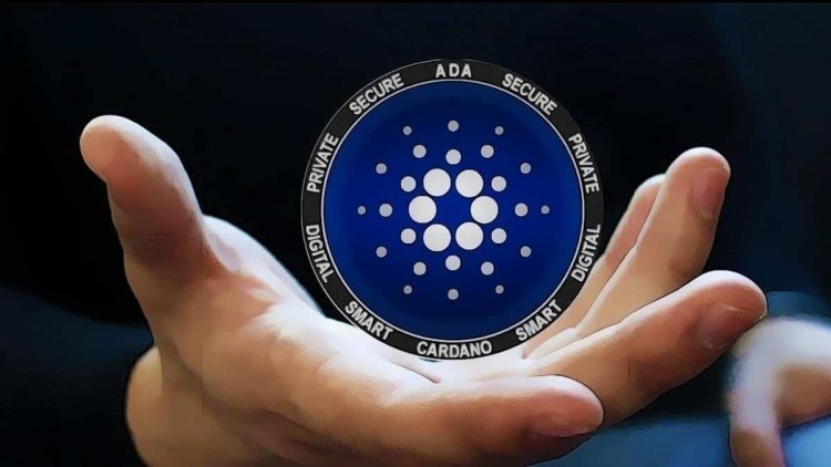 did-cardano-founder-steal-$619-million?-hopkinson-makes-shocking-revelation