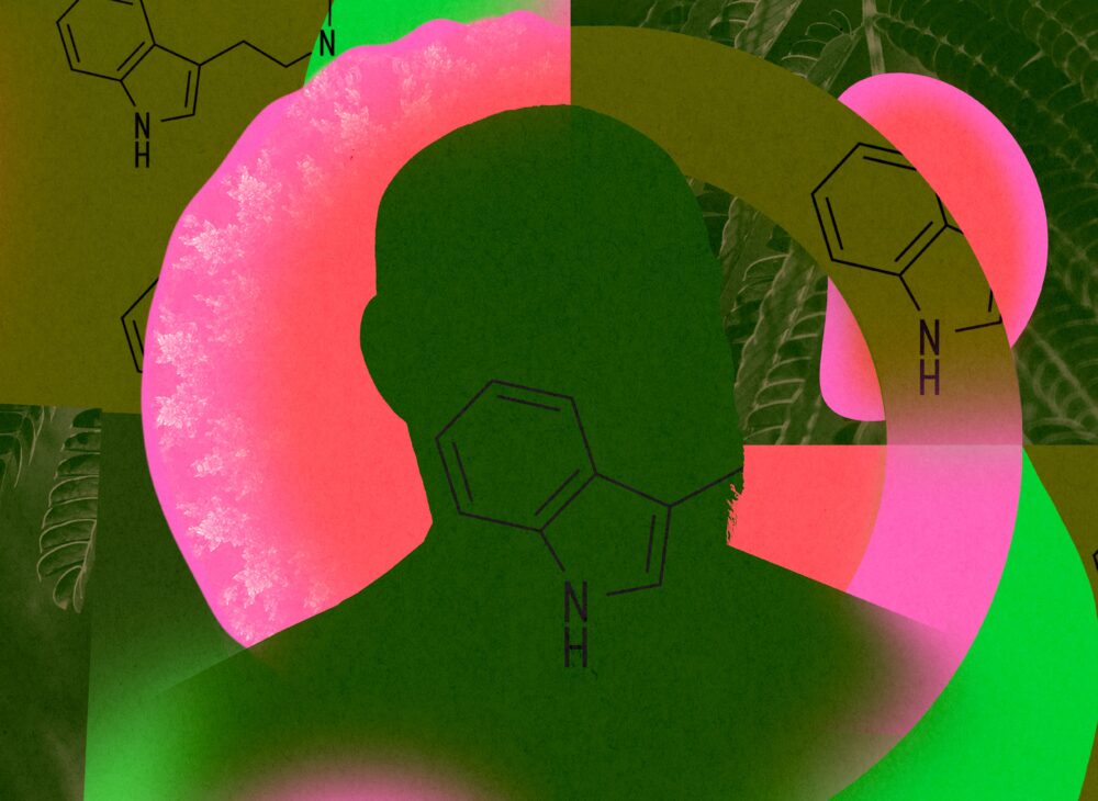 the-epic-rise-and-fall-of-a-dark-web-psychedelics-kingpin