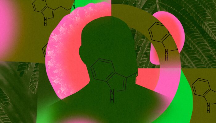 the-epic-rise-and-fall-of-a-dark-web-psychedelics-kingpin