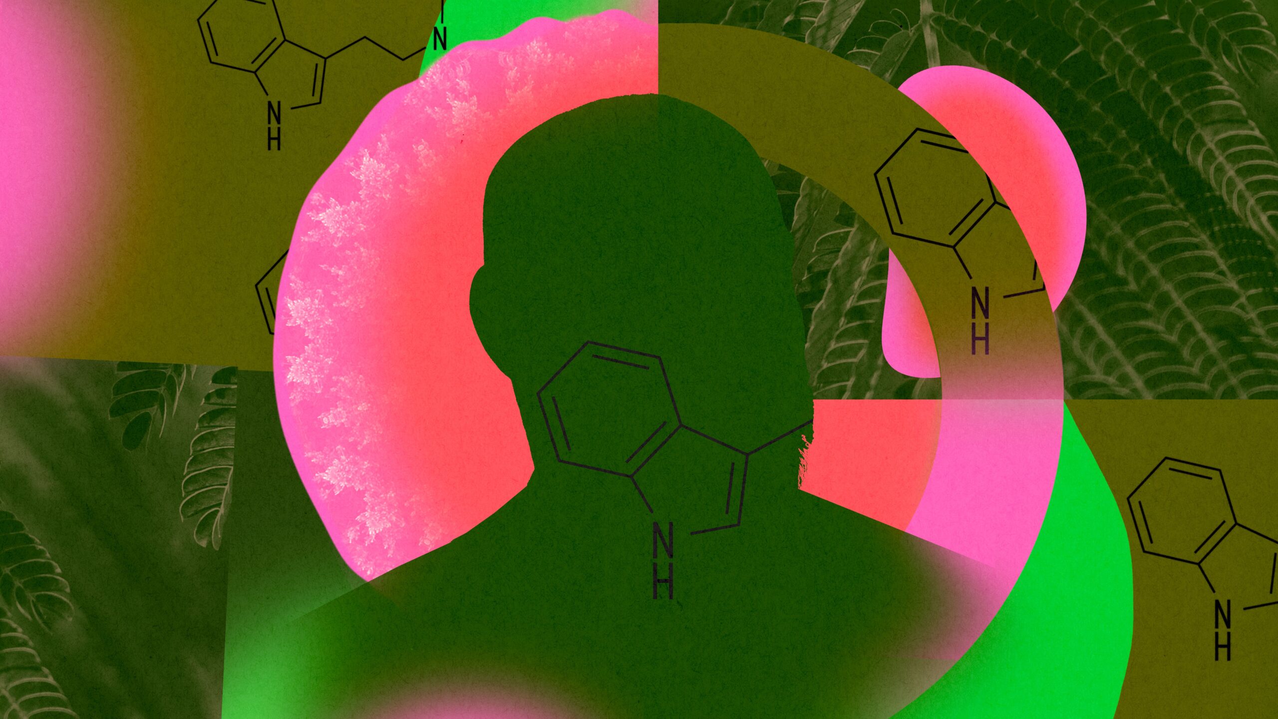 the-epic-rise-and-fall-of-a-dark-web-psychedelics-kingpin
