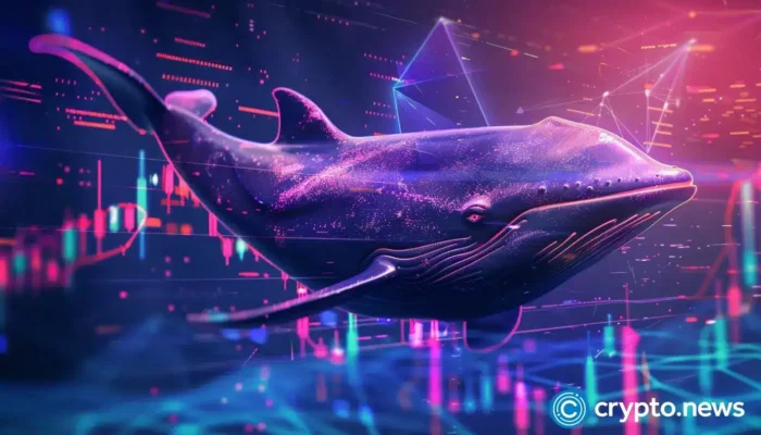 james-wynn’s-high-stakes-crypto-gamble-nears-breaking-point