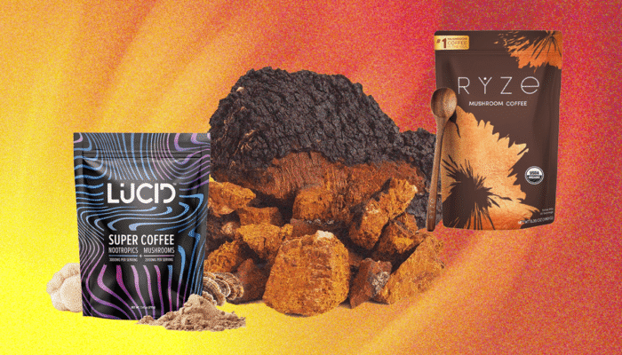 wired’s-guide-to-mushroom-supplements-(the-functional-kind)