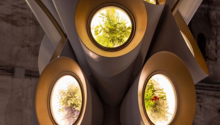 the-plan-to-send-plant-filled-‘gardens’-into-orbit